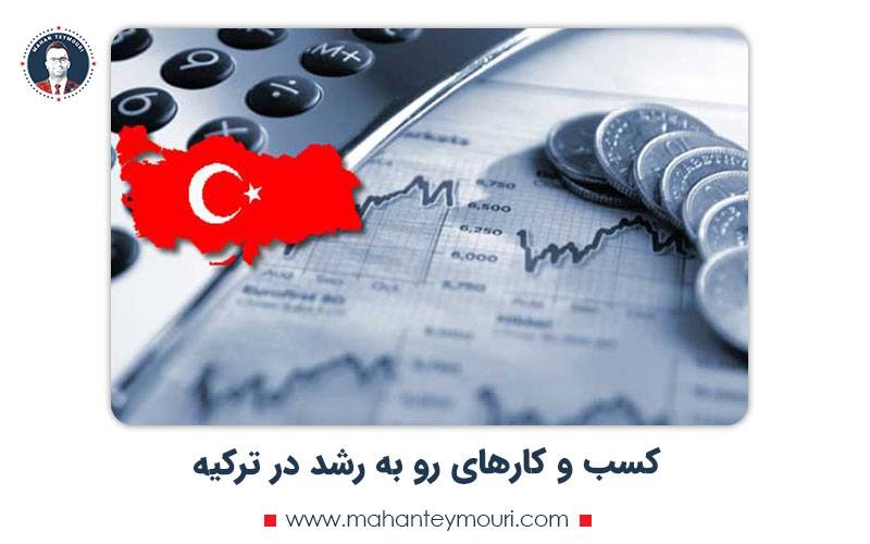 کسب و کارهای رو به رشد در ترکیه